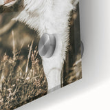 Farmhouse Wall Art: Rustic Calf Portrait in Country Meadow Décor