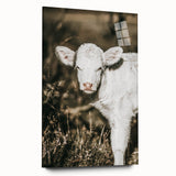 Farmhouse Wall Art: Rustic Calf Portrait in Country Meadow Décor