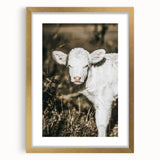 Farmhouse Wall Art: Rustic Calf Portrait in Country Meadow Décor