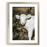 Farmhouse Wall Art: Rustic Calf Portrait in Country Meadow Décor