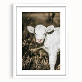 Farmhouse Wall Art: Rustic Calf Portrait in Country Meadow Décor