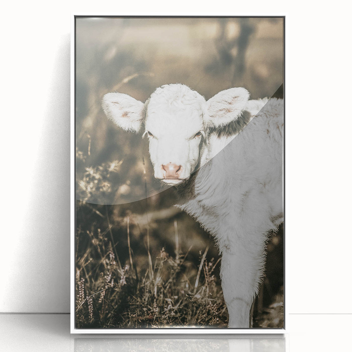 Farmhouse Wall Art: Rustic Calf Portrait in Country Meadow Décor