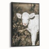 Farmhouse Wall Art: Rustic Calf Portrait in Country Meadow Décor