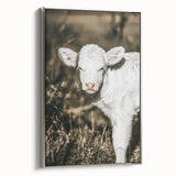 Farmhouse Wall Art: Rustic Calf Portrait in Country Meadow Décor