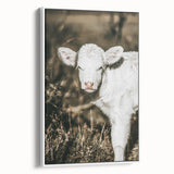 Farmhouse Wall Art: Rustic Calf Portrait in Country Meadow Décor