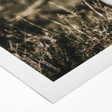 Farmhouse Wall Art: Rustic Calf Portrait in Country Meadow Décor