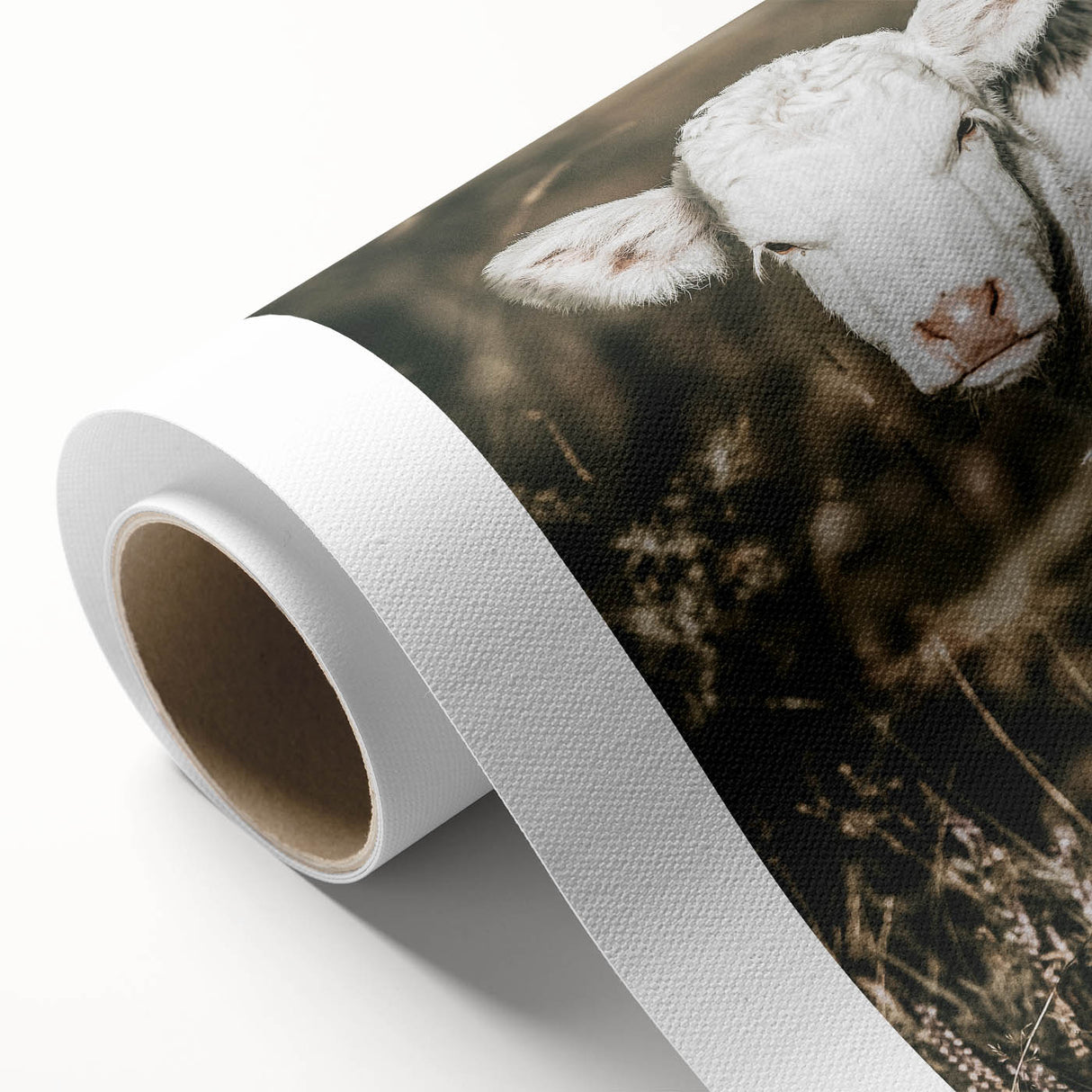 Farmhouse Wall Art: Rustic Calf Portrait in Country Meadow Décor