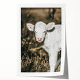 Farmhouse Wall Art: Rustic Calf Portrait in Country Meadow Décor