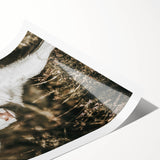 Farmhouse Wall Art: Rustic Calf Portrait in Country Meadow Décor