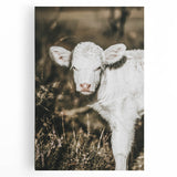 Farmhouse Wall Art: Rustic Calf Portrait in Country Meadow Décor