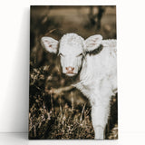 Farmhouse Wall Art: Rustic Calf Portrait in Country Meadow Décor