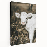 Farmhouse Wall Art: Rustic Calf Portrait in Country Meadow Décor