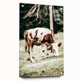 Farmhouse Wall Art – Grazing Cow in Pasture Print for Rustic Decor