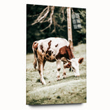 Farmhouse Wall Art – Grazing Cow in Pasture Print for Rustic Decor