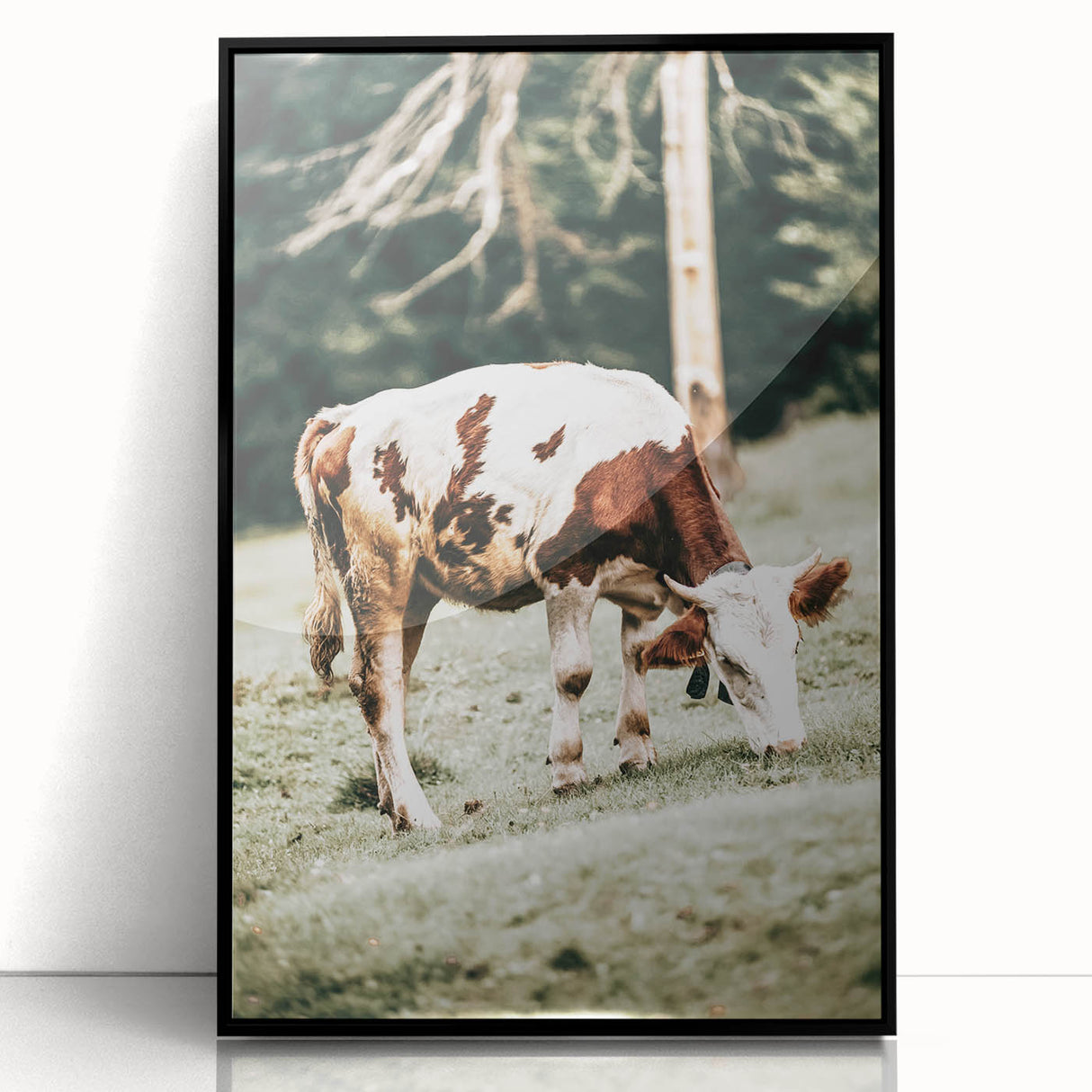 Farmhouse Wall Art – Grazing Cow in Pasture Print for Rustic Decor