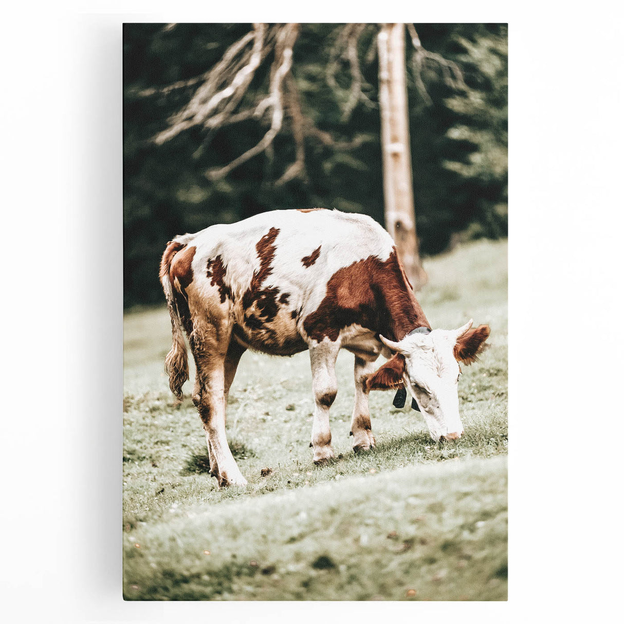 Farmhouse Wall Art – Grazing Cow in Pasture Print for Rustic Decor