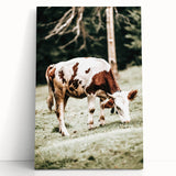Farmhouse Wall Art – Grazing Cow in Pasture Print for Rustic Decor