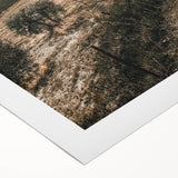 Farmhouse Wall Art – Scenic Countryside Hills and Grazing Cows Print