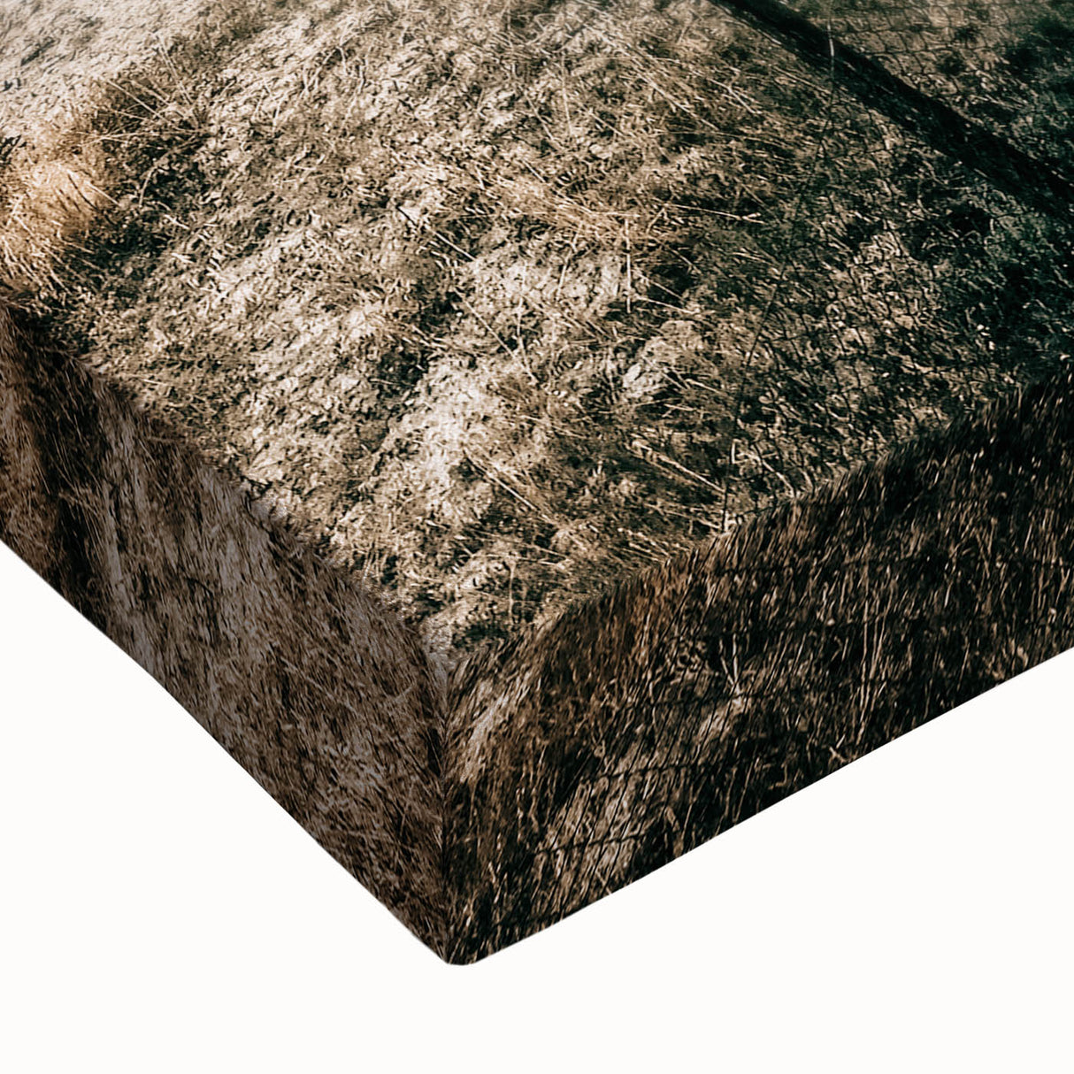 Farmhouse Wall Art – Scenic Countryside Hills and Grazing Cows Print