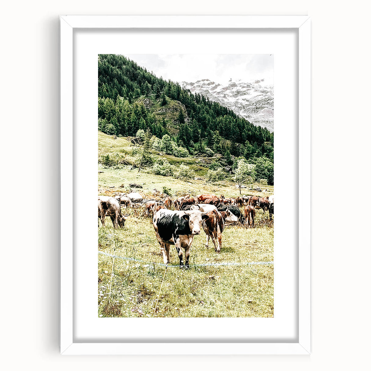 Farmhouse Wall Art – Mountain Valley with Grazing Cows Print for Rustic Decor