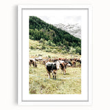 Farmhouse Wall Art – Mountain Valley with Grazing Cows Print for Rustic Decor