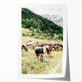 Farmhouse Wall Art – Mountain Valley with Grazing Cows Print for Rustic Decor