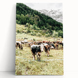 Farmhouse Wall Art – Mountain Valley with Grazing Cows Print for Rustic Decor