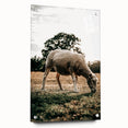 Farmhouse Wall Art – Peaceful Grazing Sheep in Sunset Print for Rustic Decor
