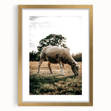 Farmhouse Wall Art – Peaceful Grazing Sheep in Sunset Print for Rustic Decor