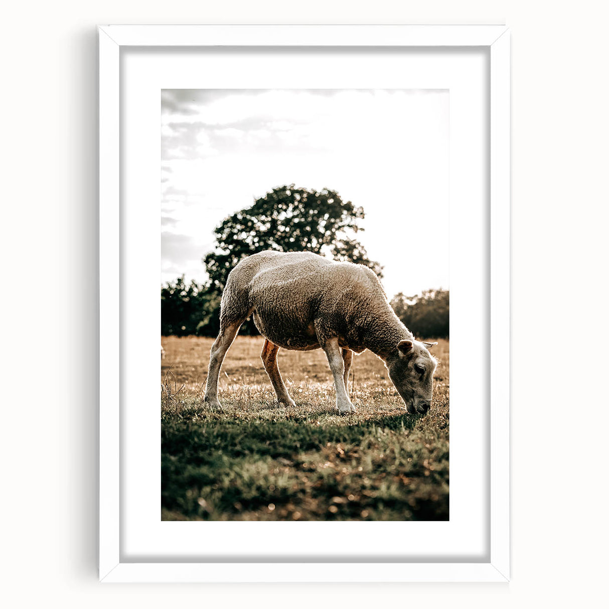Farmhouse Wall Art – Peaceful Grazing Sheep in Sunset Print for Rustic Decor