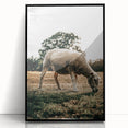 Farmhouse Wall Art – Peaceful Grazing Sheep in Sunset Print for Rustic Decor