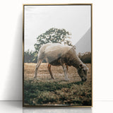 Farmhouse Wall Art – Peaceful Grazing Sheep in Sunset Print for Rustic Decor