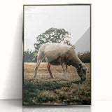 Farmhouse Wall Art – Peaceful Grazing Sheep in Sunset Print for Rustic Decor