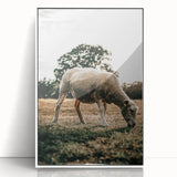 Farmhouse Wall Art – Peaceful Grazing Sheep in Sunset Print for Rustic Decor