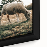 Farmhouse Wall Art – Peaceful Grazing Sheep in Sunset Print for Rustic Decor