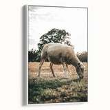 Farmhouse Wall Art – Peaceful Grazing Sheep in Sunset Print for Rustic Decor