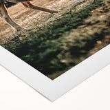 Farmhouse Wall Art – Peaceful Grazing Sheep in Sunset Print for Rustic Decor