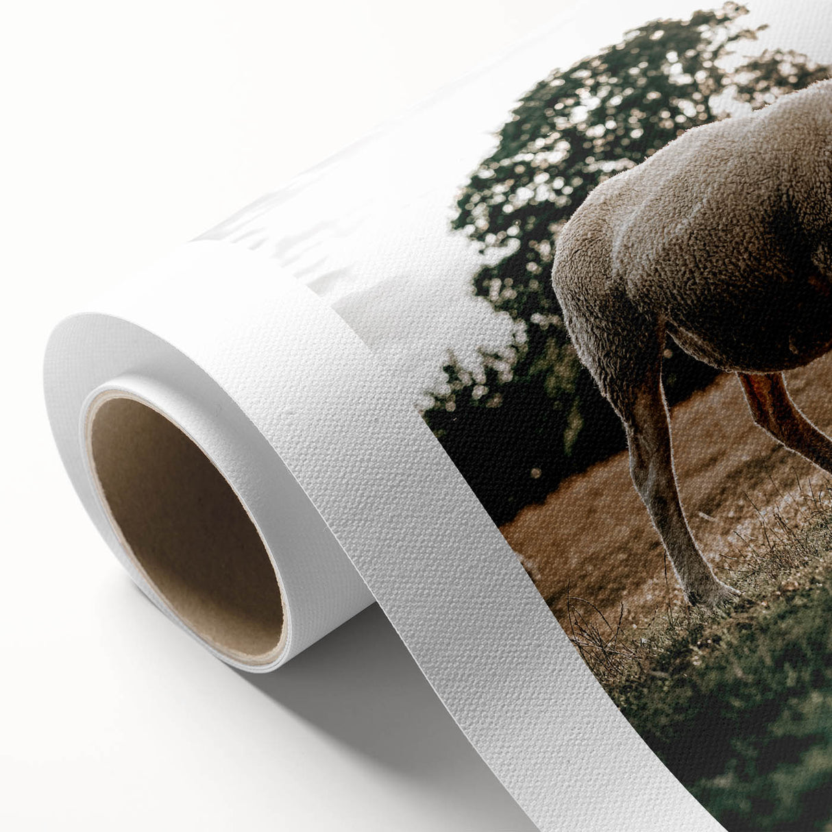 Farmhouse Wall Art – Peaceful Grazing Sheep in Sunset Print for Rustic Decor