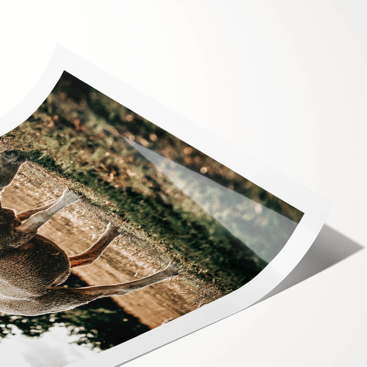 Farmhouse Wall Art – Peaceful Grazing Sheep in Sunset Print for Rustic Decor