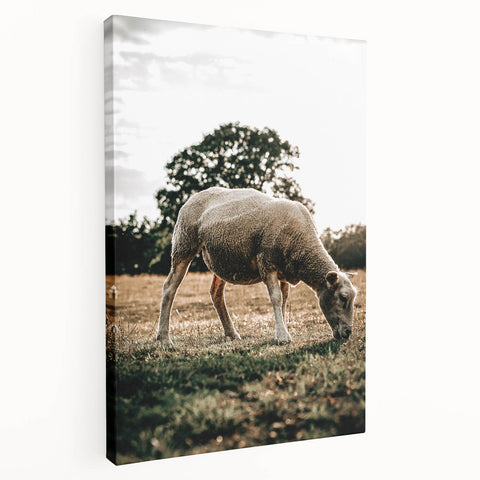 Farmhouse Wall Art – Peaceful Grazing Sheep in Sunset Print for Rustic Decor
