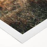 Farmhouse Wall Art – Golden Sunset over Countryside Hills for Rustic Decor