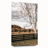 Farmhouse Wall Art – Countryside Hay Bales Field Print for Rustic Decor