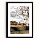 Farmhouse Wall Art – Countryside Hay Bales Field Print for Rustic Decor