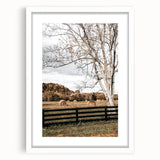 Farmhouse Wall Art – Countryside Hay Bales Field Print for Rustic Decor