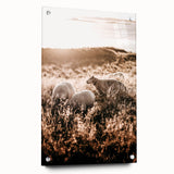 Farmhouse Wall Art – Sheep Grazing at Sunset Print for Rustic Home Decor