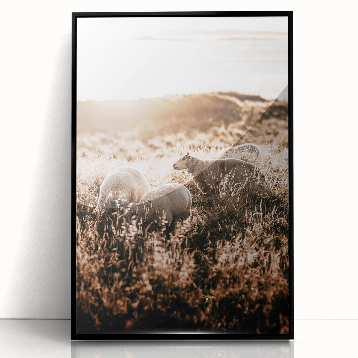 Farmhouse Wall Art – Sheep Grazing at Sunset Print for Rustic Home Decor