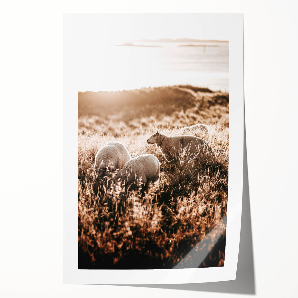 Farmhouse Wall Art – Sheep Grazing at Sunset Print for Rustic Home Decor