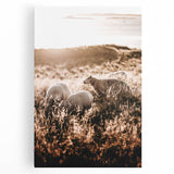 Farmhouse Wall Art – Sheep Grazing at Sunset Print for Rustic Home Decor