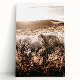Farmhouse Wall Art – Sheep Grazing at Sunset Print for Rustic Home Decor