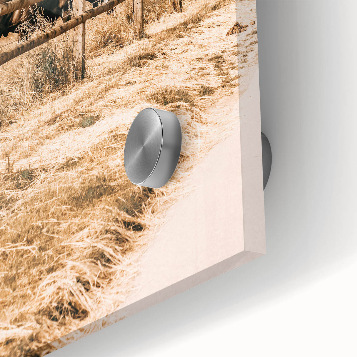 Farmhouse Wall Art – Grazing Horses Behind Rustic Fence for Country Decor